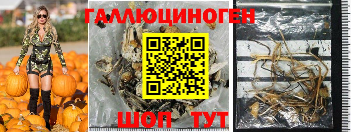 Псилоцибиновые грибы Psilocybine cubensis Соль-Илецк