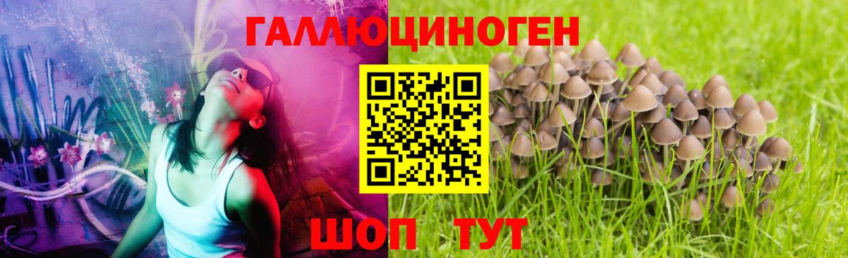 Галлюциногенные грибы Psilocybe  Галлюциногенные грибы мухоморы  Вход с VPN  Соль-Илецк 